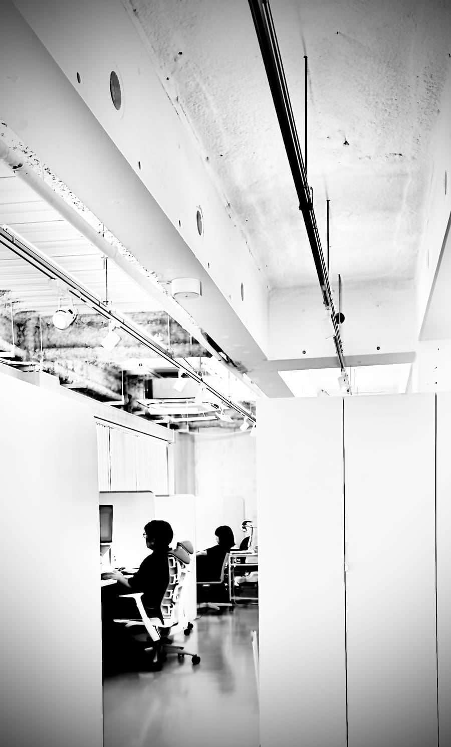ペック株式会社のオフィスで作業するスタッフ（モノクロ写真）